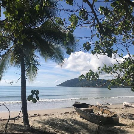 Daintree Rainforest Beach House Villa Diwan Exterior photo