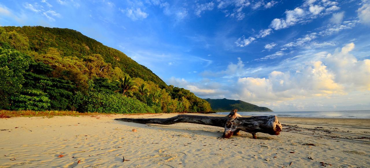 Daintree Rainforest Beach House Villa Diwan Exterior photo